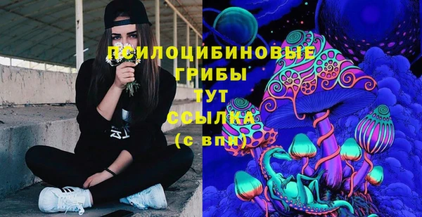 молекула духа Заволжск