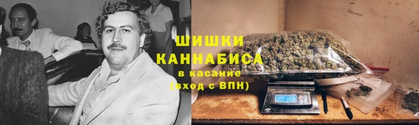 ECSTASY Заводоуковск
